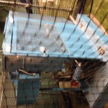 2014-07-22_160416782_C18D8_iOS